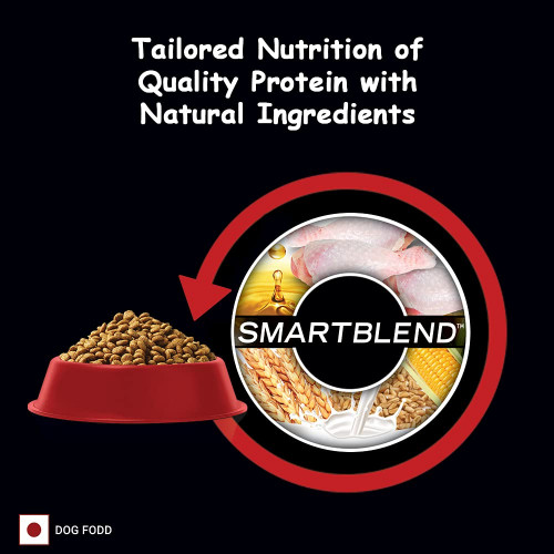 Purina Supercoat Adult 10 Kgs Dog Food Buy Purina Supercoat Adult 10